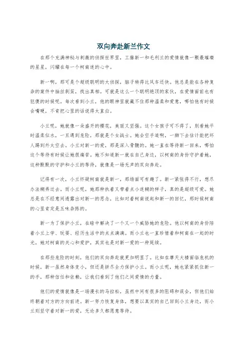 双向奔赴新兰作文
