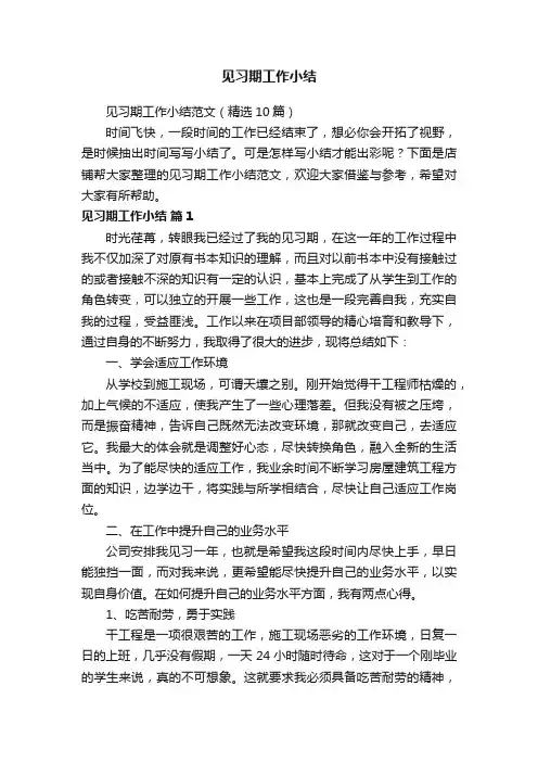 见习期工作小结