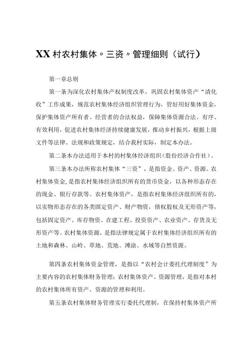 XX村农村集体“三资”管理细则(试行)
