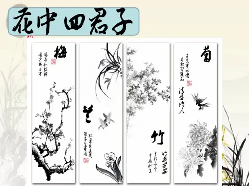 初中语文_失根的兰花教学课件设计