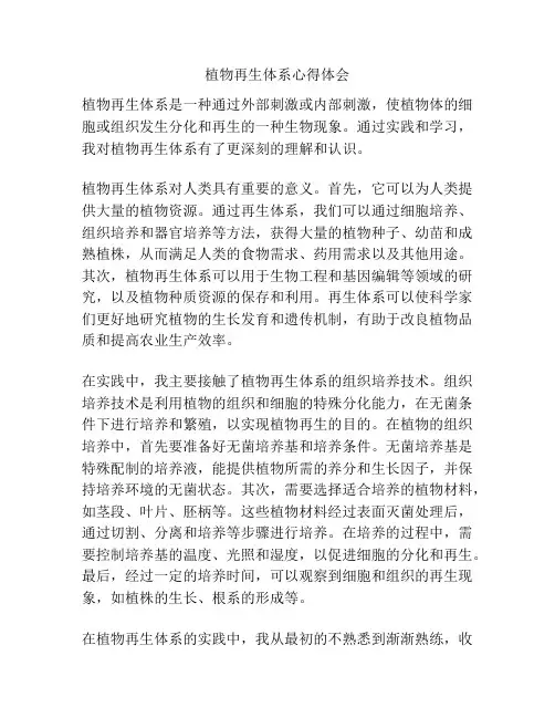 植物再生体系心得体会