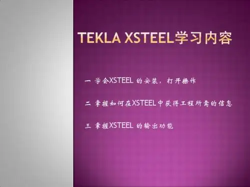 xsteel 如何安装 使用