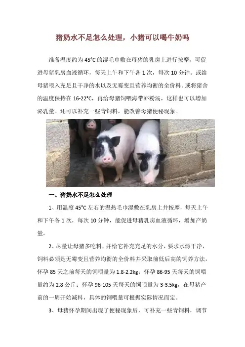 猪奶水不足怎么处理,小猪可以喝牛奶吗