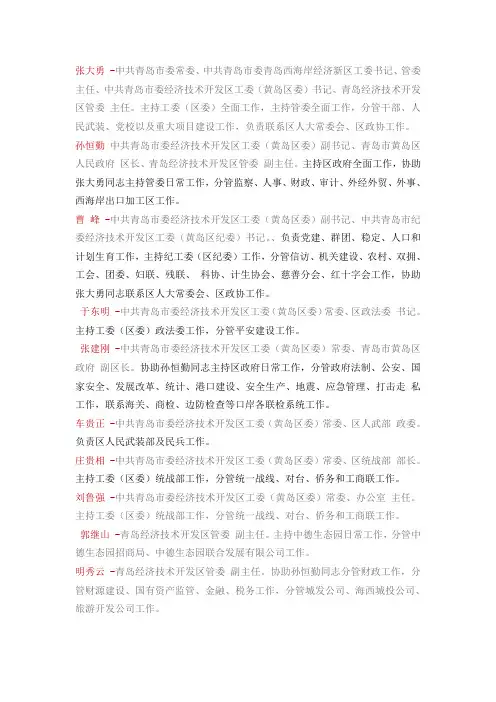 青岛开发区领导分工