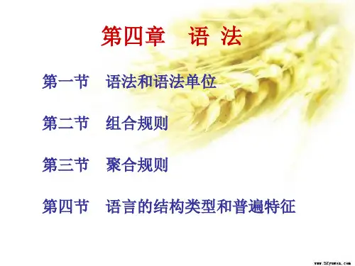 修辞学第四章  第一节   语法和语法单位
