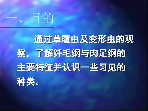 实验一淡水原生动物的采集培养与观察