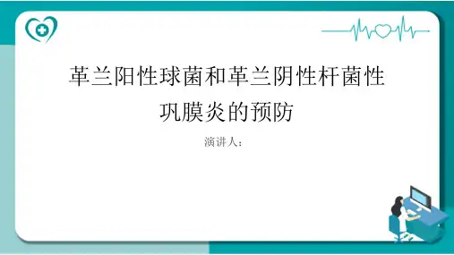 革兰阳性球菌和革兰阴性杆菌性巩膜炎的预防课件
