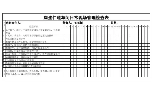 5S管理检查记录表