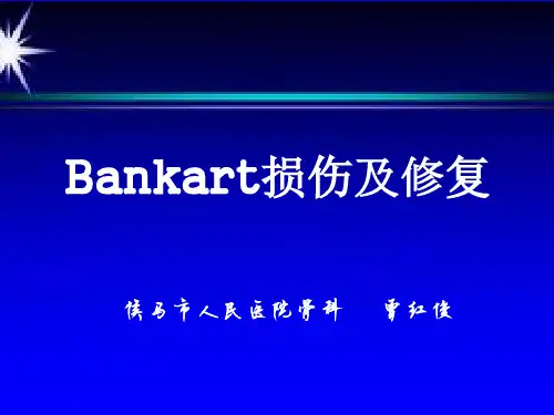 Bankart损伤及修复
