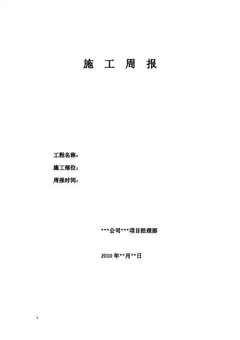 项目部周报参考 格式