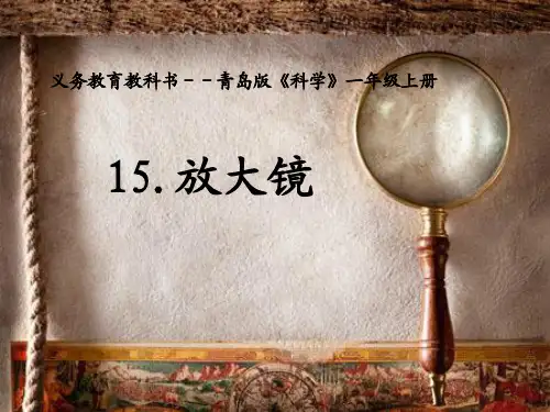 一年级上册科学_《放大镜》(1)青岛版(共11张PPT)标准课件