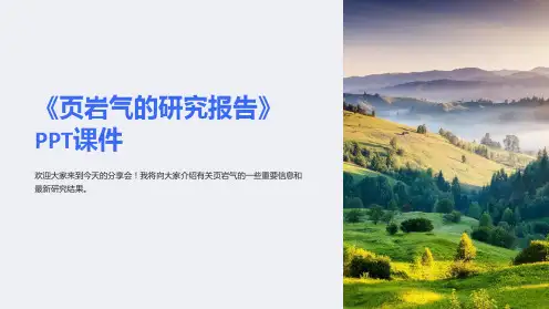 《页岩气的研究报告》PPT课件