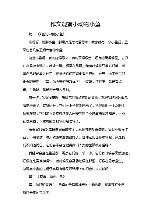 作文观察小动物小鱼