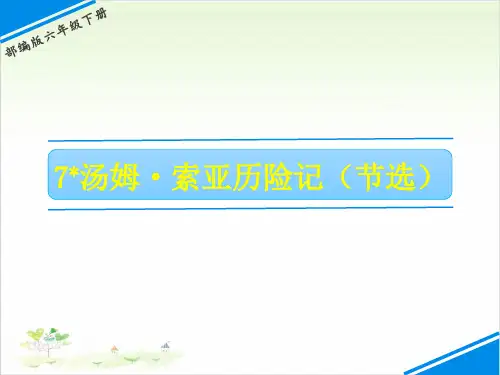 六年级下册汤姆索亚历险记(节选)PPT人教部编版