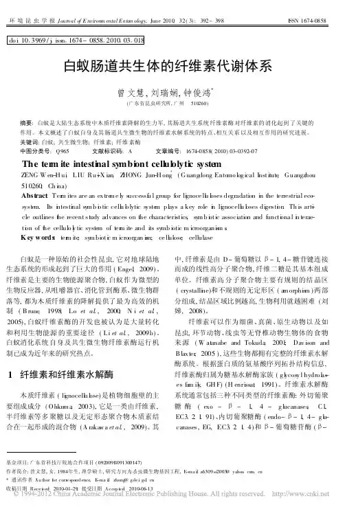白蚁肠道共生体的纤维素代谢体系