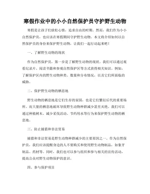 寒假作业中的小小自然保护员守护野生动物