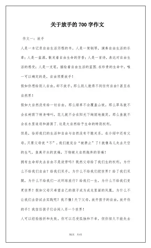 关于放手的700字作文