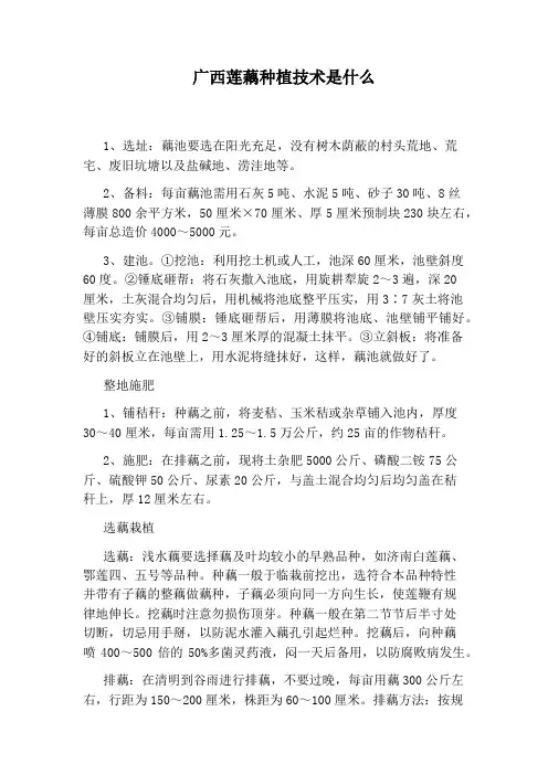 广西莲藕种植技术是什么