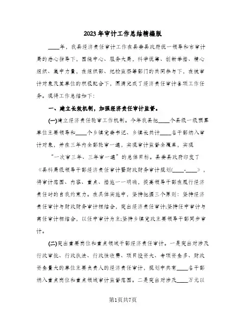 2023年审计工作总结精编版(2篇)