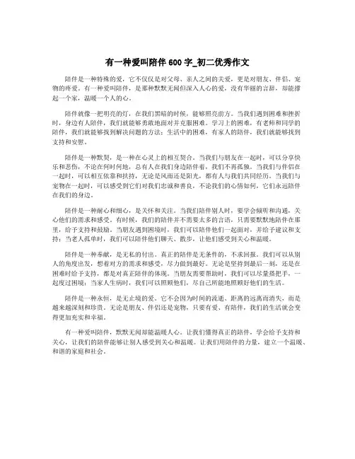 有一种爱叫陪伴600字_初二优秀作文