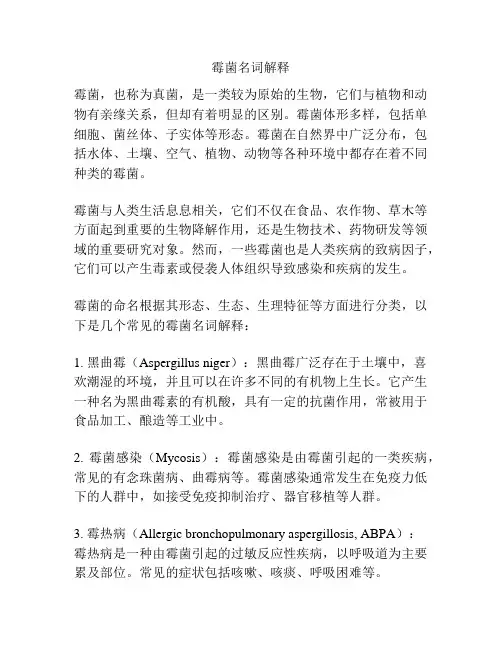 霉菌名词解释