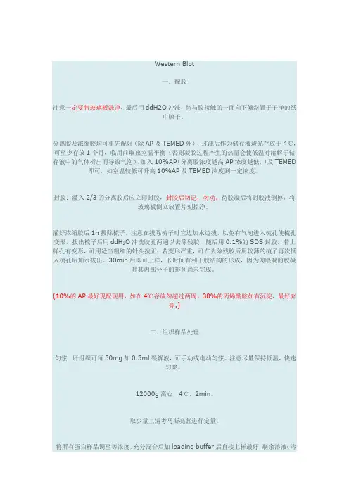 western操作全过程