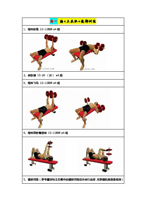哑铃增肌健身计划(一周四练)