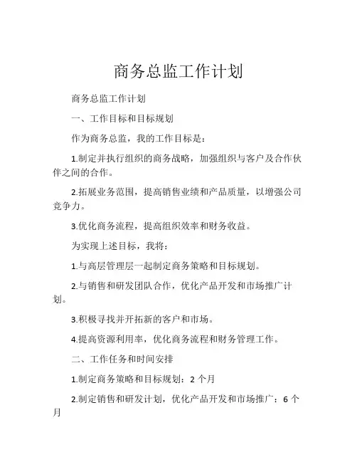 商务总监工作计划