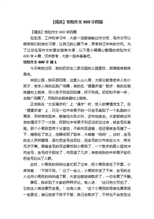 【精选】惊险作文600字四篇