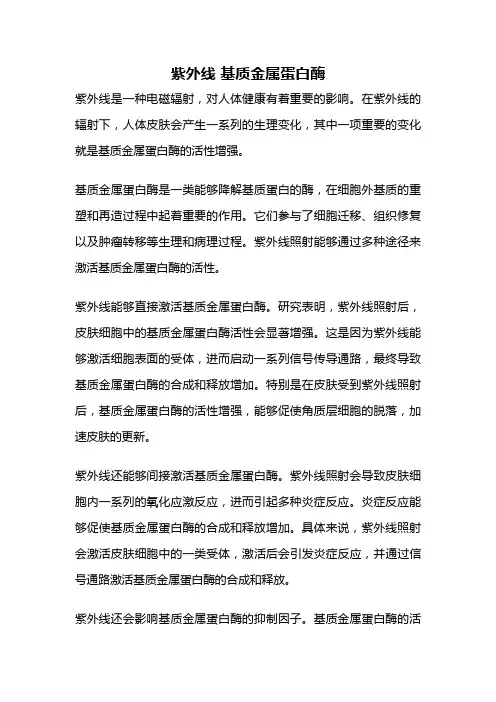 紫外线 基质金属蛋白酶