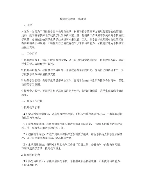 数学青年教师工作计划