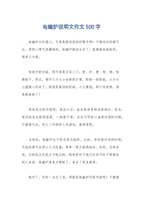 电磁炉说明文作文500字