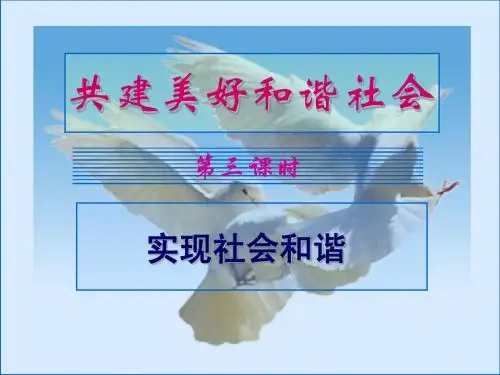 2.3 共建美好和谐社会 课件1(政治粤教版九年级全册)