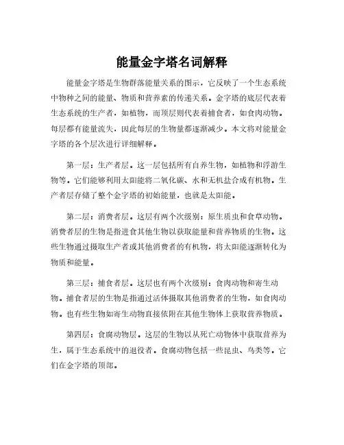 能量金字塔名词解释