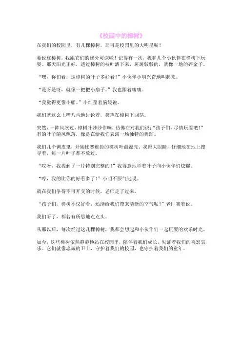 《校园中的樟树》