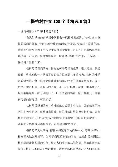 一棵榕树作文800字【3篇】