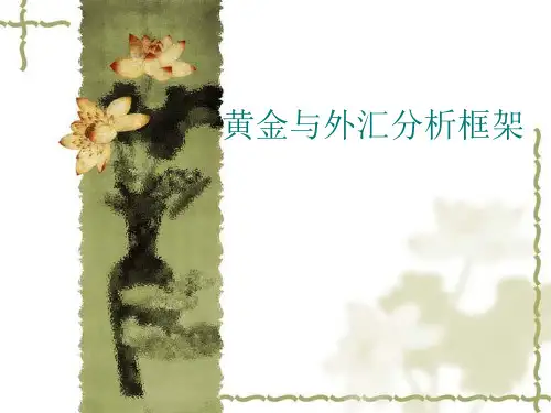 黄金与外汇分析框架ppt课件
