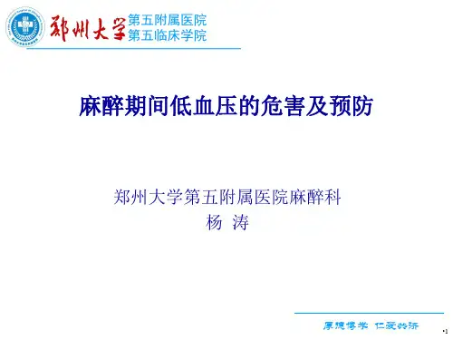 麻醉期间低血压的危害及预防PPT课件