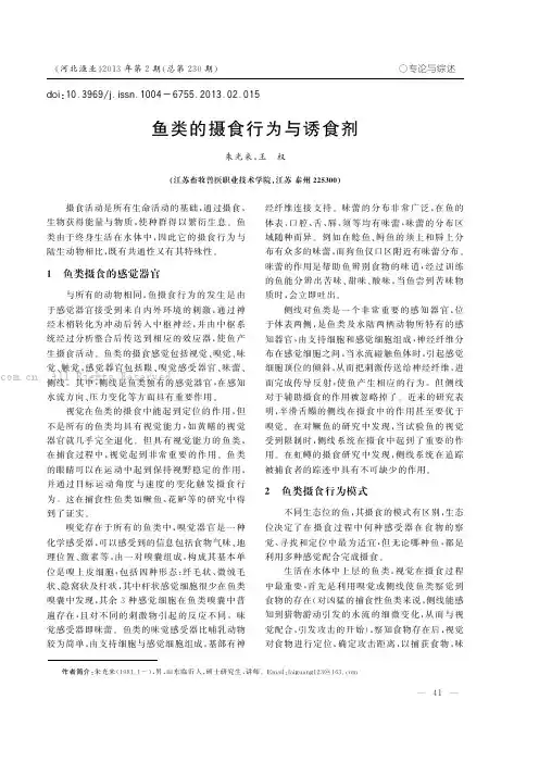 鱼类的摄食行为与诱食剂