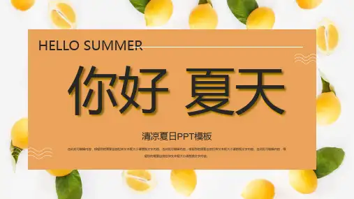 清凉夏日PPT模板 (2)