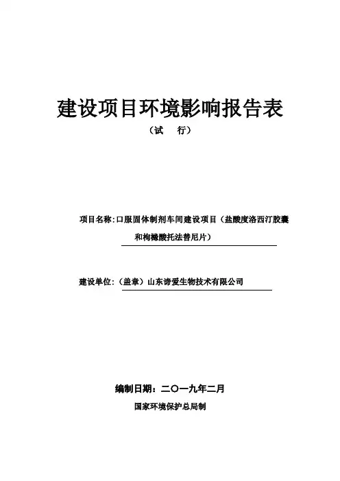 建设项目环境影响报告表[095]
