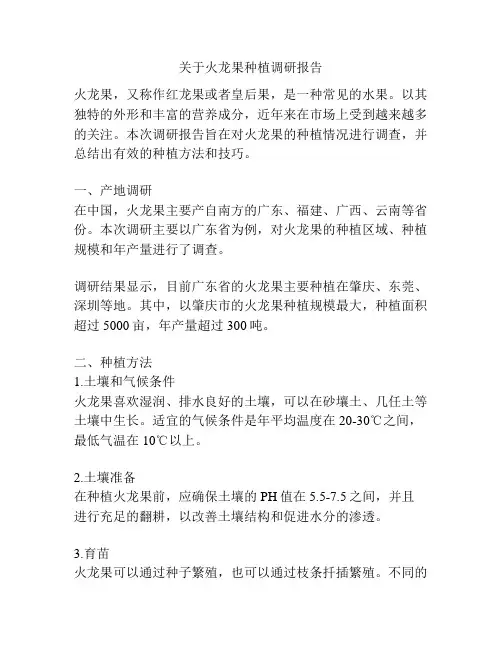 关于火龙果种植调研报告