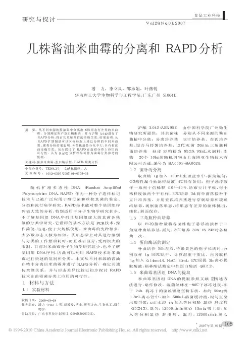 几株酱油米曲霉的分离和RAPD分析