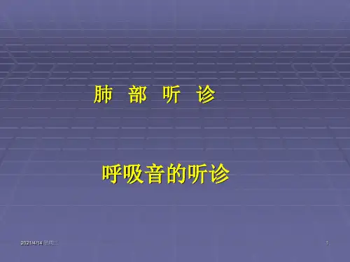 肺部听诊呼吸音的听诊诊断学课件