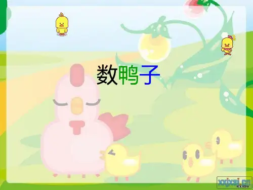 一年级音乐课《数鸭子》PPT课件