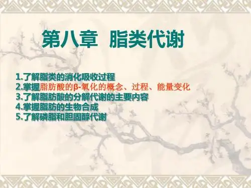 第八章  脂类代谢