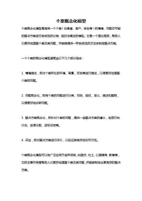 个案概念化模型