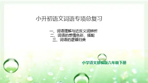 2020部编版语文小升初毕业考词语专项复习课件  (1-6年级)最后一轮复习