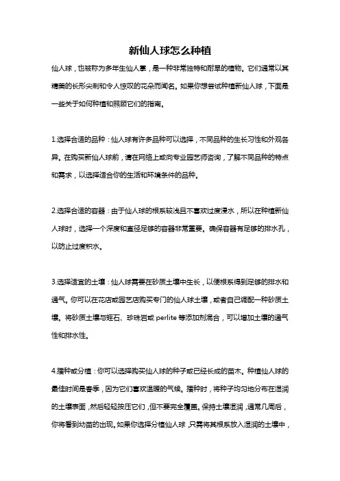 新仙人球怎么种植