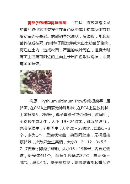 番茄病虫害防治图谱2